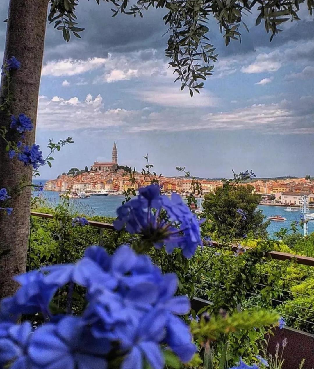 Apartments Mary & Free Parking Rovinj Chambre photo